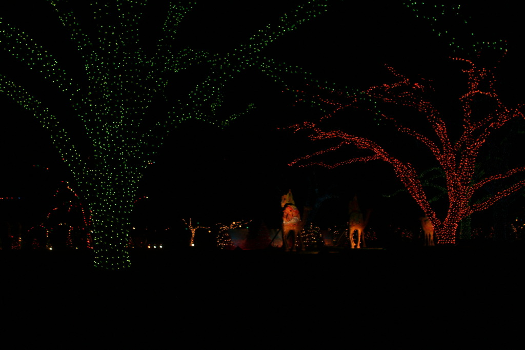2012/12(December)/Christmas/Trail-of-Lights/1024x768_2012-12-22-Trail-of-Lights-67.JPG