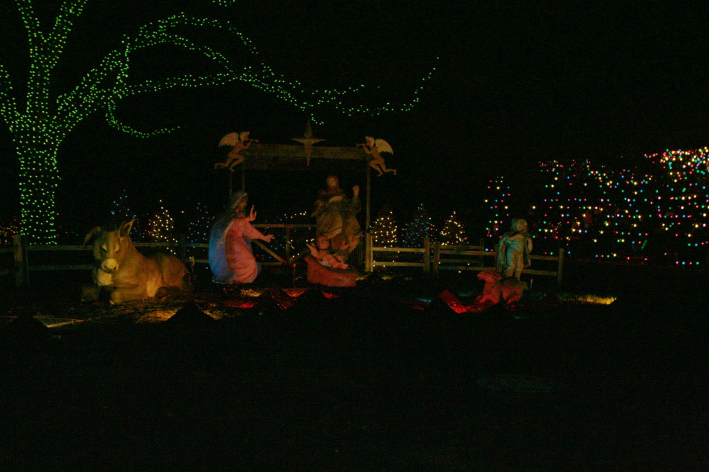 2012-12-22-Trail-of-Lights-70.JPG
