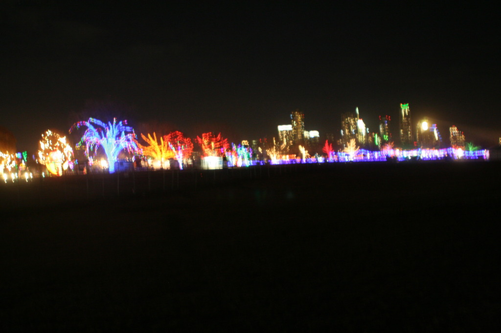 2012-12-22-Trail-of-Lights-82-city-lights.JPG