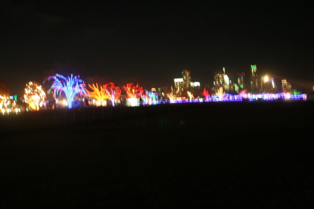 2012-12-22-Trail-of-Lights-82-city-lights.JPG