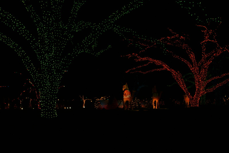 2012/12(December)/Christmas/Trail-of-Lights/800x600_2012-12-22-Trail-of-Lights-67.JPG