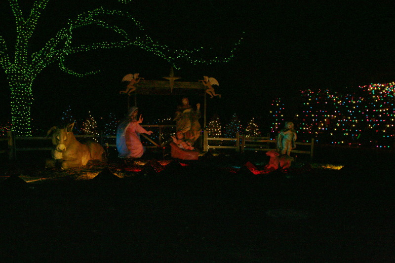 2012/12(December)/Christmas/Trail-of-Lights/800x600_2012-12-22-Trail-of-Lights-70.JPG