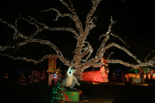 2012-12-22-Trail-of-Lights-58.JPG