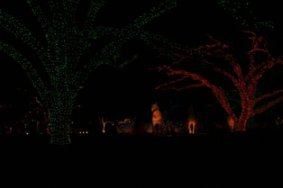 2012-12-22-Trail-of-Lights-67.JPG