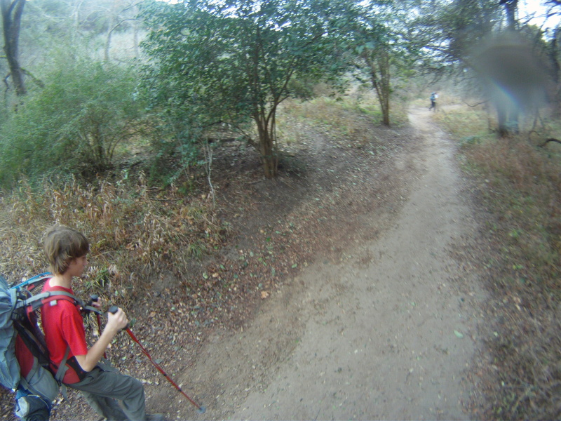 2013/01(January)/Troop214-Barton-Creek-hike/800x600_2013-01-12-Practice-Hike-Barton-Springs-Trail-11-Chance.JPG