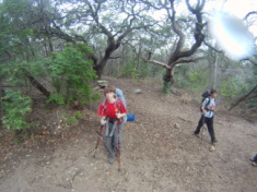 2013-01-12-Practice-Hike-Barton-Springs-Trail-08-Chance-Nathan.JPG