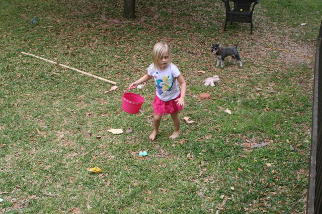 2013/03(March)/Easter/640x480_2013-03-31-Easter-02-Sydney.JPG