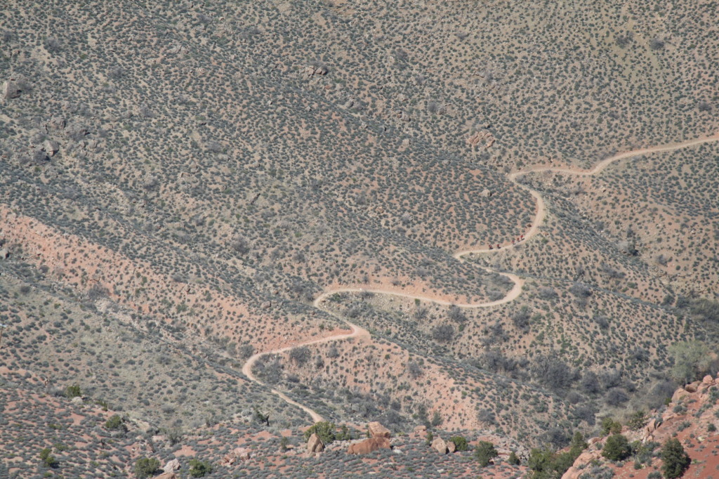 2013-03-16-Grand-Canyon-037-Plateau-Point-hiking-to-Indian-Gardens-red-dots-on-trail.JPG