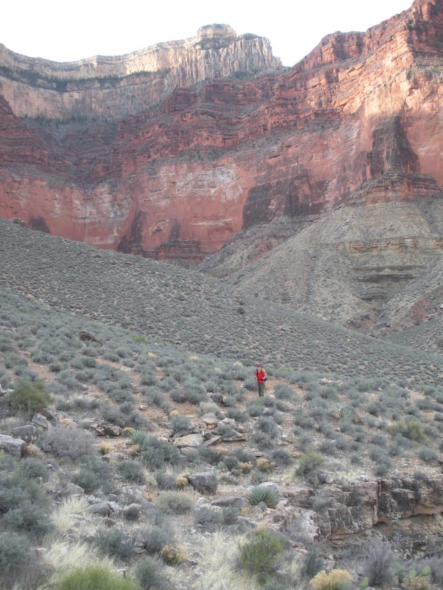 2013/03(March)/Grand-Canyon/Top200/640x480_2013-03-16-Grand-Canyon-007-Indian-Gardens-Nathan.JPG