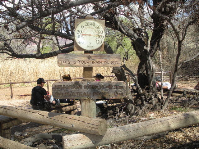 2013-03-16-Grand-Canyon-041-Indian-Gardens.JPG