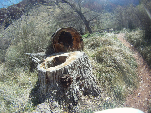 2013/03(March)/Grand-Canyon/Top200/640x480_2013-03-16-Grand-Canyon-042-Indian-Gardens.JPG