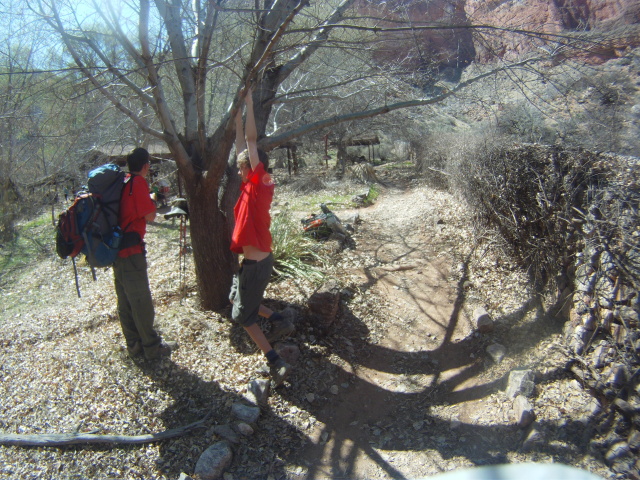 2013-03-16-Grand-Canyon-043-Indian-Gardens-Nathan-Chance.JPG