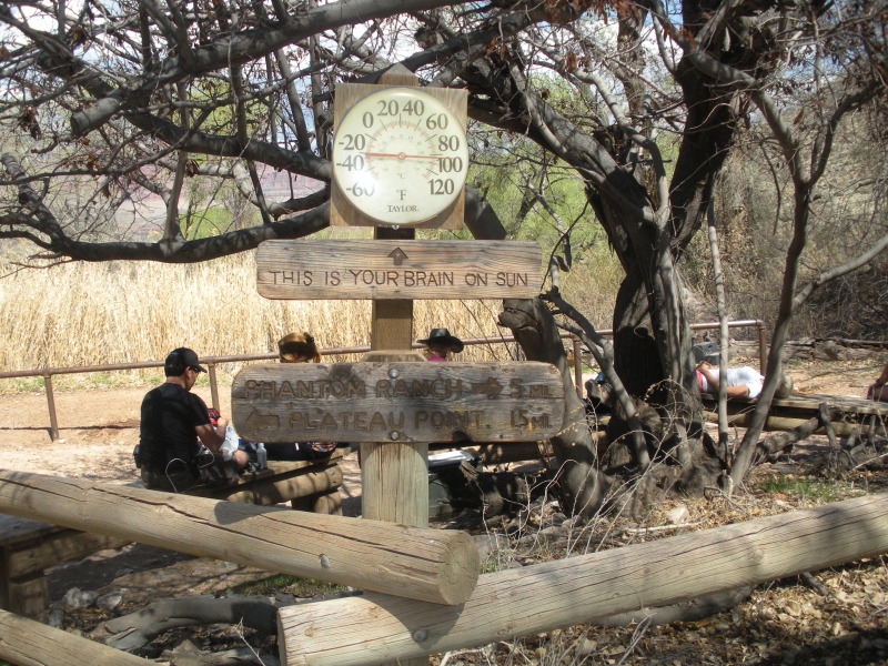2013/03(March)/Grand-Canyon/Top200/800x600_2013-03-16-Grand-Canyon-041-Indian-Gardens.JPG