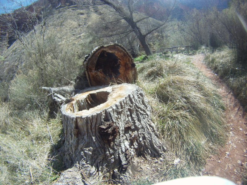 2013/03(March)/Grand-Canyon/Top200/800x600_2013-03-16-Grand-Canyon-042-Indian-Gardens.JPG