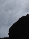 2013-03-15-Grand-Canyon-35-Monument-poop-helicopter.JPG