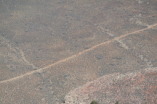 2013-03-16-Grand-Canyon-022-Indian-Gardens-Chance-Nathan-Lance-Travis-Matt-red-dots-on-trail.JPG