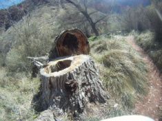 2013-03-16-Grand-Canyon-042-Indian-Gardens.JPG
