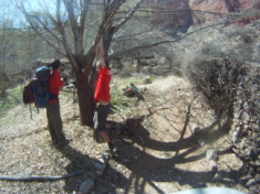 2013-03-16-Grand-Canyon-043-Indian-Gardens-Nathan-Chance.JPG