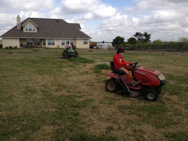 2013/03(March)/Yard-Work/800x600_2013-03-29-Yard-Work-05.JPG
