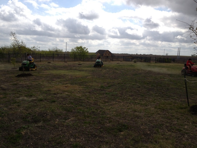 2013-03-29-Yard-Work-07.JPG