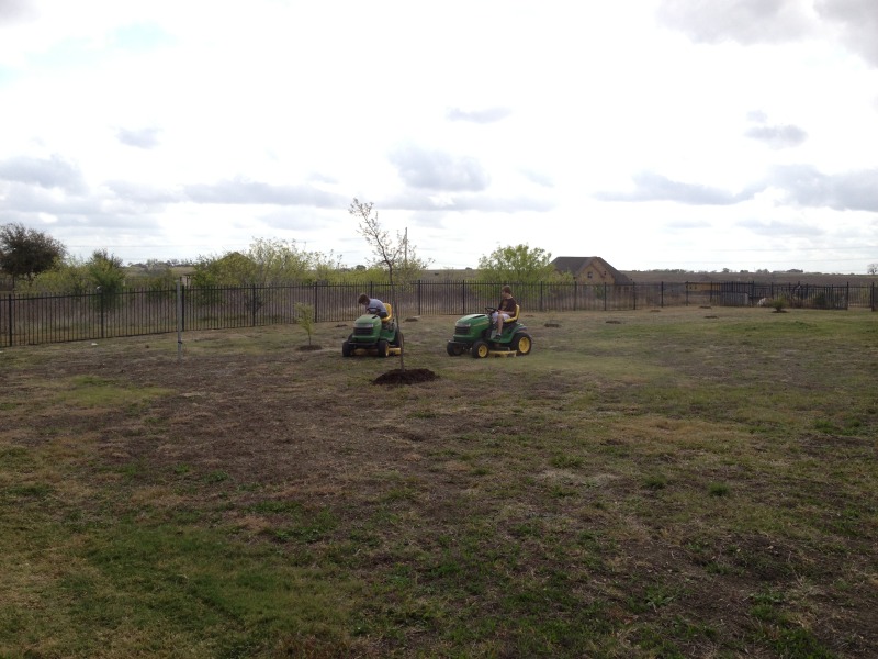 2013/03(March)/Yard-Work/800x600_2013-03-29-Yard-Work-08.JPG