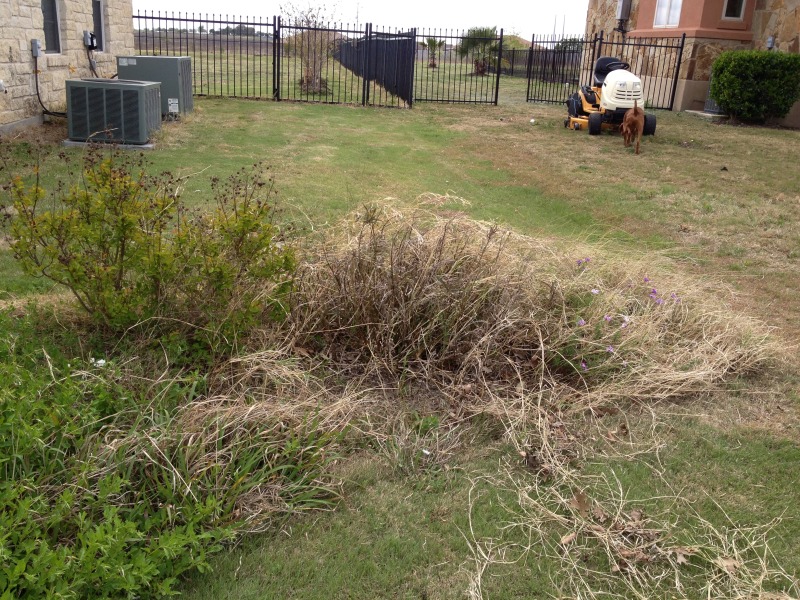 2013/03(March)/Yard-Work/800x600_2013-03-29-Yard-Work-15-Bevo.JPG