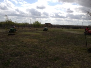 2013-03-29-Yard-Work-07.JPG