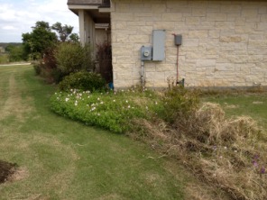 2013-03-29-Yard-Work-11-Before.JPG