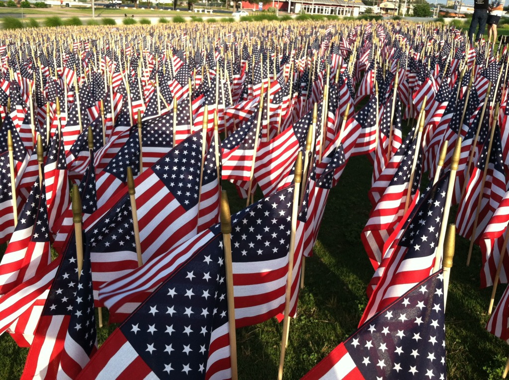 2013/05(May)/EFH-Memorial-Day-end-of-session-party/1024x768_2013-05-27-EFH-Memorial-Day-5-flags.JPG