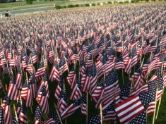 2013-05-27-EFH-Memorial-Day-4-flags.JPG