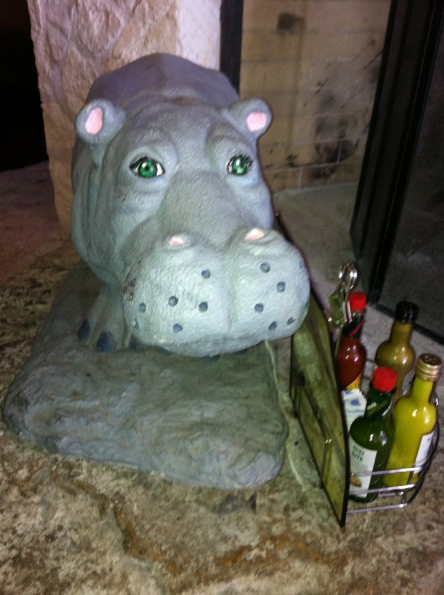 2012-05-11-Huto-Hippo.JPG