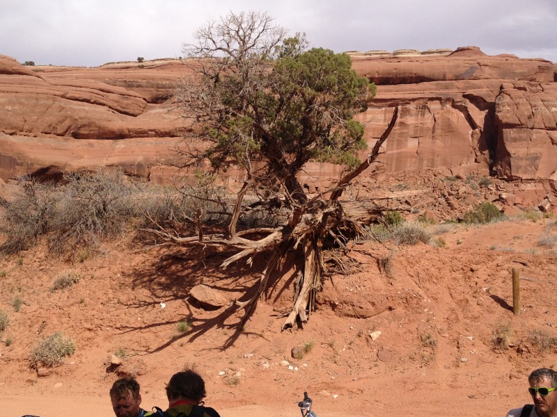 2013/05(May)/Moab/800x600_2013-05-04-Moab-29.JPG
