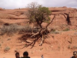 2013-05-04-Moab-29.JPG