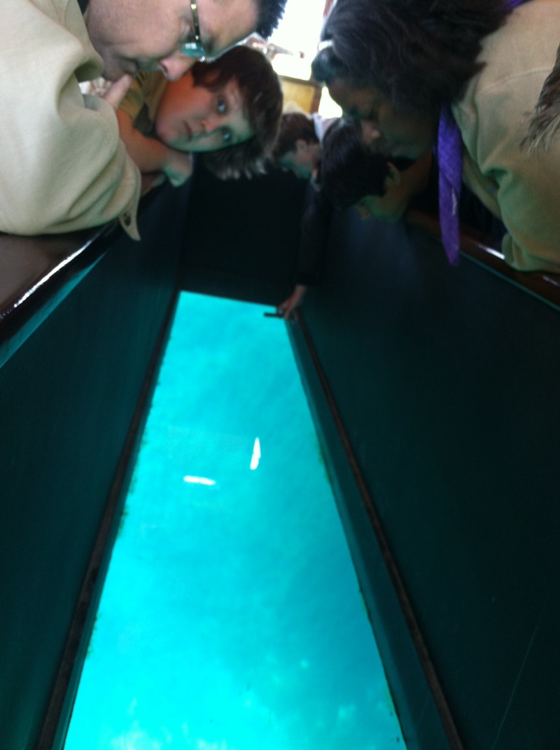 2013/05(May)/Troop214-San-Marcos-Environmental-Science-Float-Trip/800x600_2013-05-04-Troop214-San-Marcos-Environmental-Science-06-Tyler-Matt.JPG