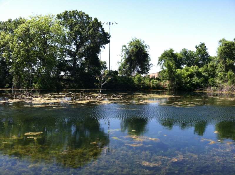 2013/05(May)/Troop214-San-Marcos-Environmental-Science-Float-Trip/800x600_2013-05-04-Troop214-San-Marcos-Environmental-Science-10.JPG
