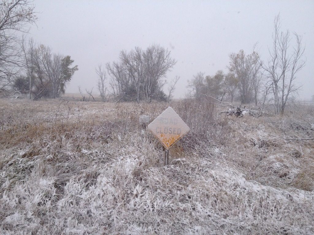 2013-11-05-SD-Pheasant-Hunting-5.JPG