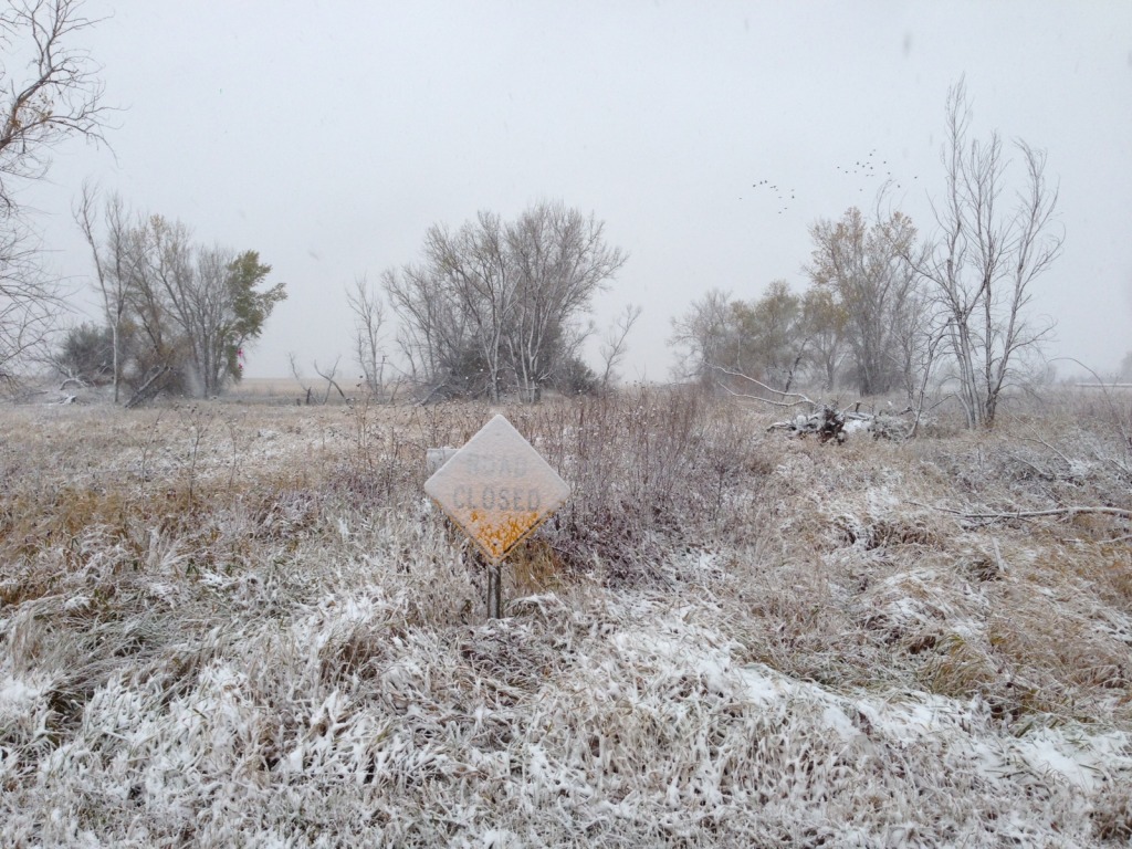 2013-11-05-SD-Pheasant-Hunting-6.JPG