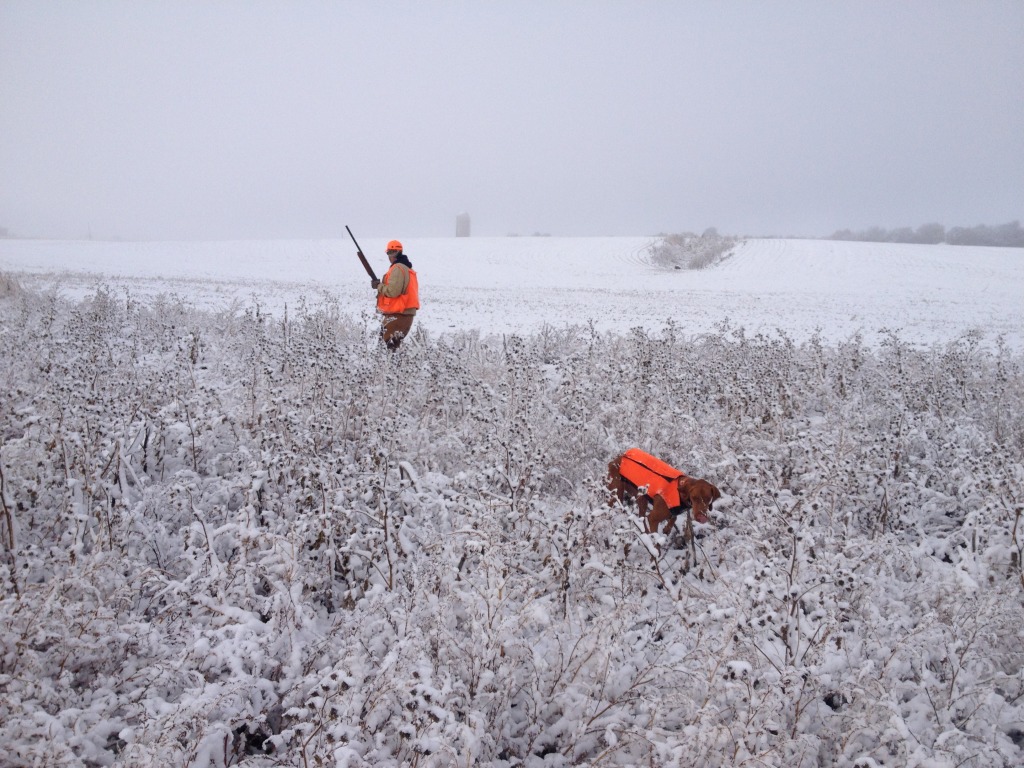 2013-11-06-SD-Pheasant-Hunting-14-Daryl-Bevo.JPG
