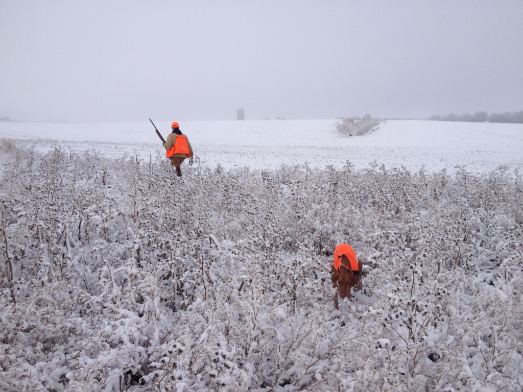 2013-11-06-SD-Pheasant-Hunting-15-Daryl-Bevo.JPG