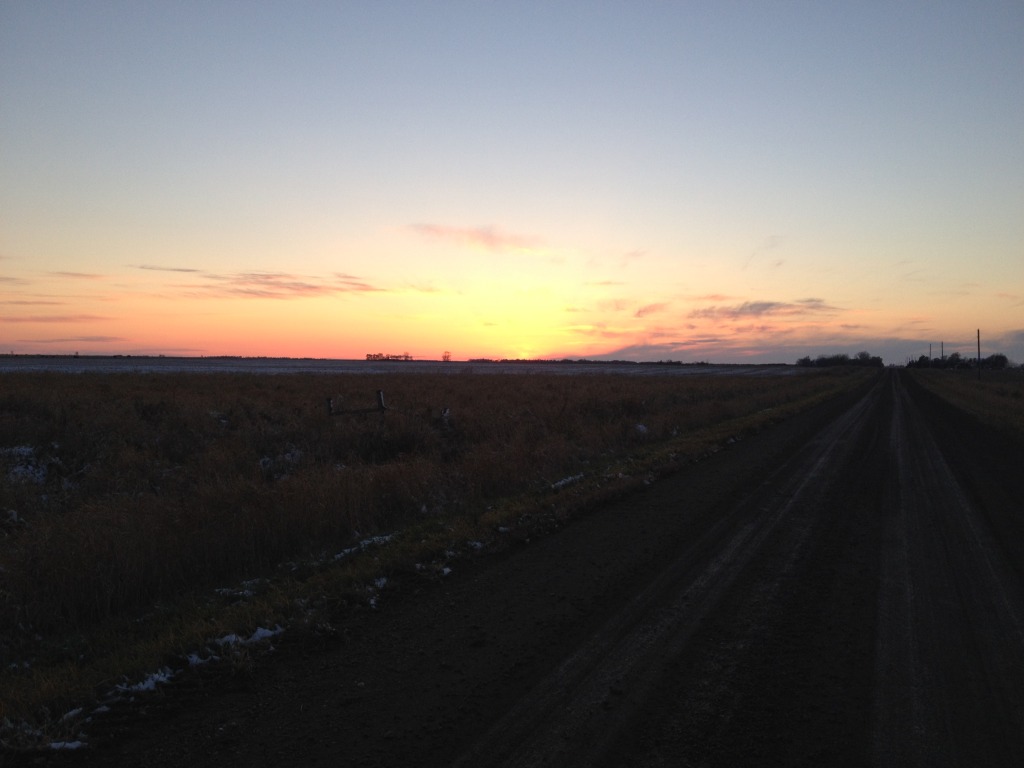 2013/11(November)/SD-Hunting/1024x768_2013-11-06-SD-Pheasant-Hunting-25-sunset.JPG