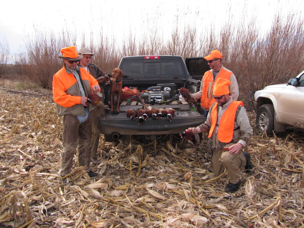 2013/11(November)/SD-Hunting/1024x768_2013-11-08-SD-Pheasant-Hunting-20-Mike-Travis-Daryl-John-Bevo.JPG