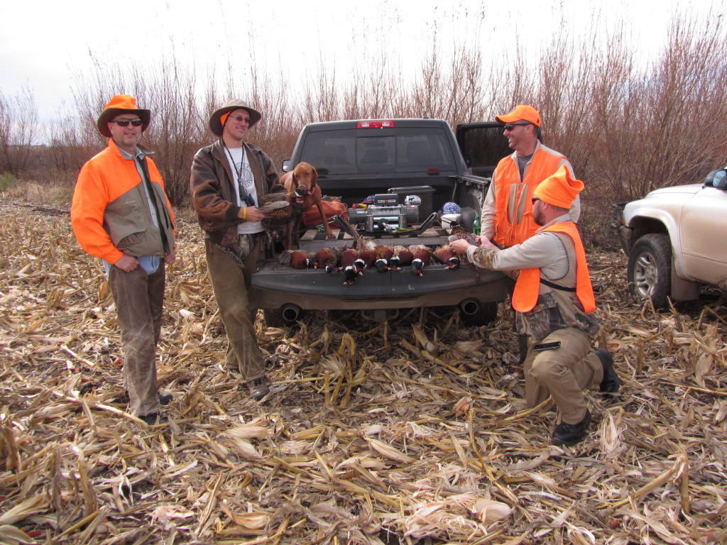 2013/11(November)/SD-Hunting/1024x768_2013-11-08-SD-Pheasant-Hunting-22-Mike-Travis-Daryl-John-Bevo.JPG