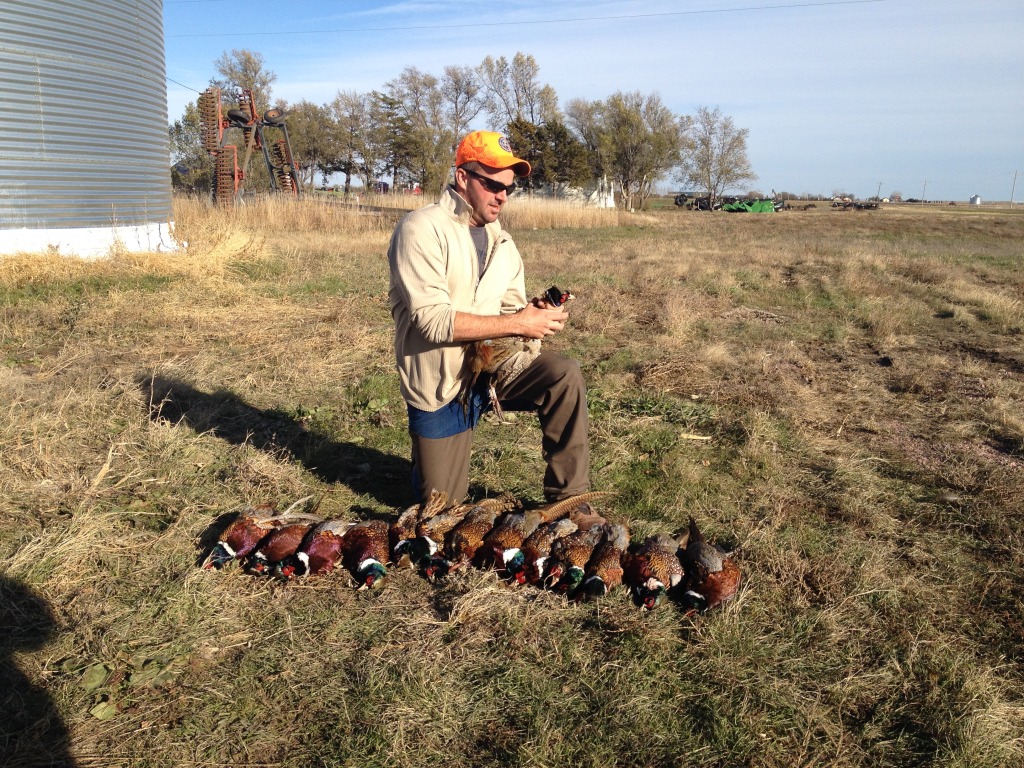 2013/11(November)/SD-Hunting/1024x768_2013-11-08-SD-Pheasant-Hunting-35-Daryl.JPG