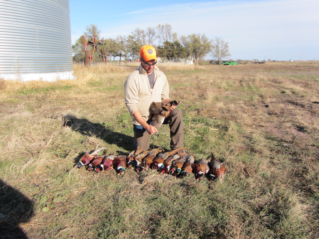 2013/11(November)/SD-Hunting/1024x768_2013-11-08-SD-Pheasant-Hunting-47-Daryl.JPG