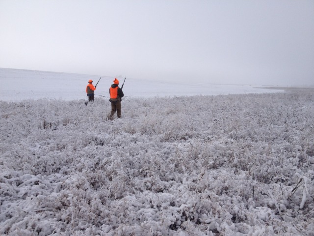 2013/11(November)/SD-Hunting/640x480_2013-11-06-SD-Pheasant-Hunting-12-Mike-John.JPG