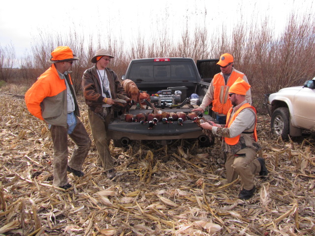 2013/11(November)/SD-Hunting/640x480_2013-11-08-SD-Pheasant-Hunting-25-Mike-Travis-Daryl-John-Bevo.JPG
