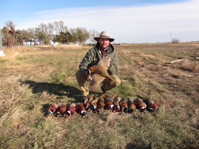 2013/11(November)/SD-Hunting/640x480_2013-11-08-SD-Pheasant-Hunting-44-John.JPG