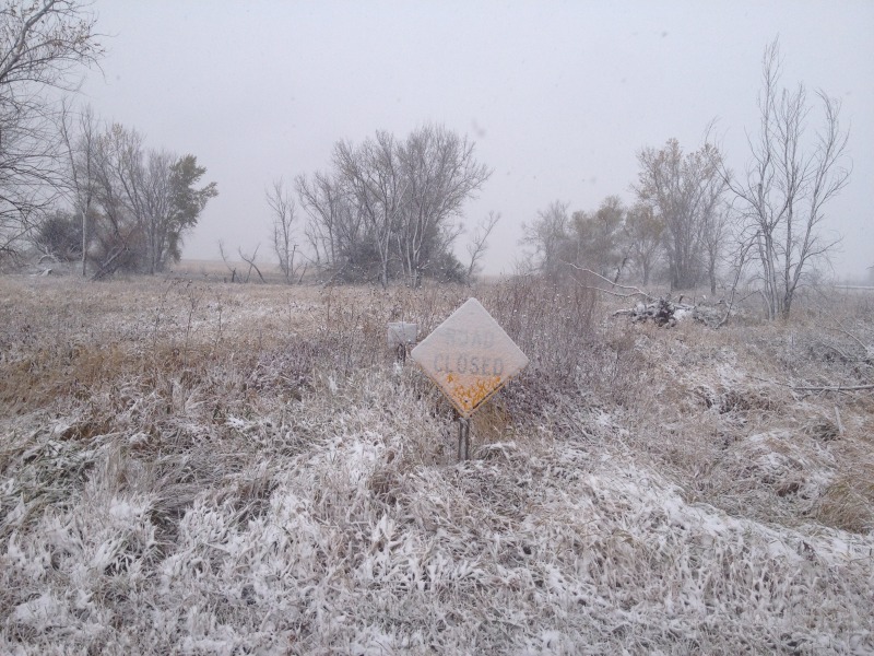 2013/11(November)/SD-Hunting/800x600_2013-11-05-SD-Pheasant-Hunting-5.JPG