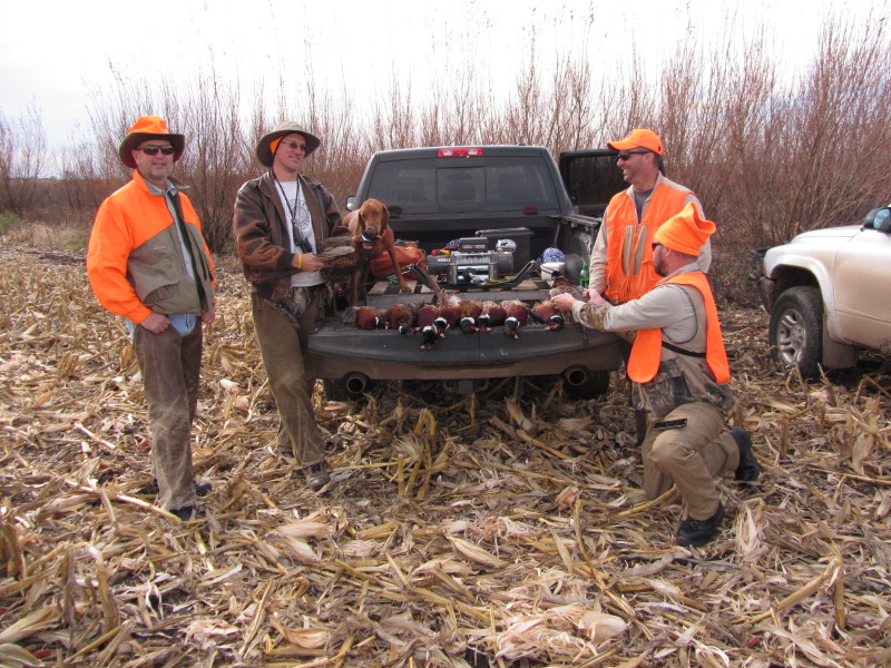 2013-11-08-SD-Pheasant-Hunting-22-Mike-Travis-Daryl-John-Bevo.JPG