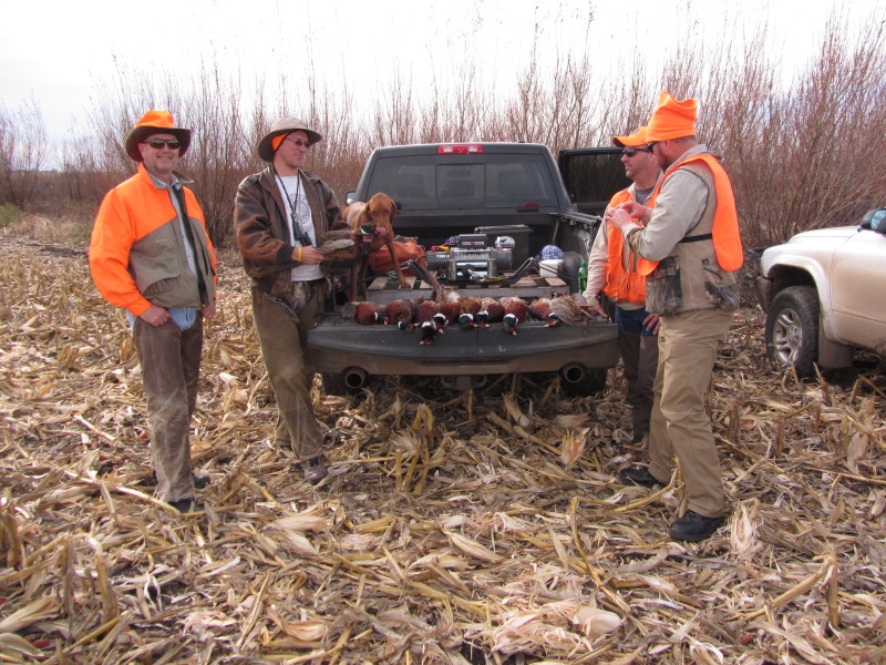 2013-11-08-SD-Pheasant-Hunting-24-Mike-Travis-Daryl-John-Bevo.JPG